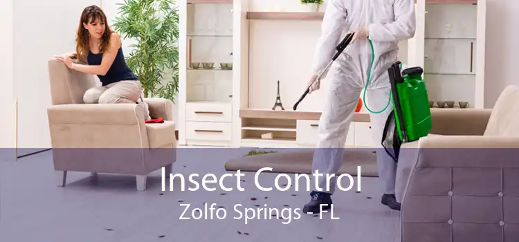 Insect Control Zolfo Springs - FL
