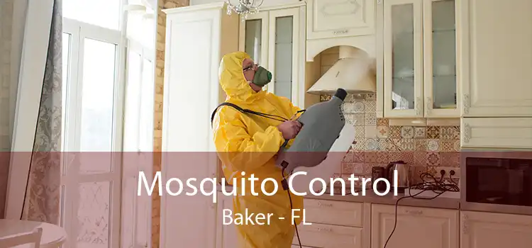 Mosquito Control Baker - FL