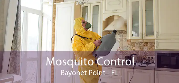 Mosquito Control Bayonet Point - FL