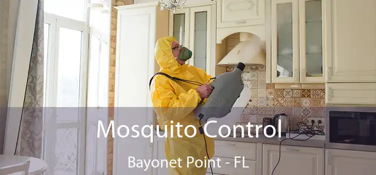 Mosquito Control Bayonet Point - FL