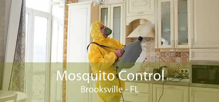 Mosquito Control Brooksville - FL