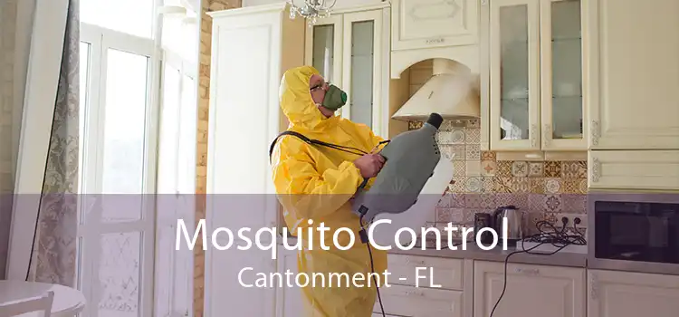 Mosquito Control Cantonment - FL