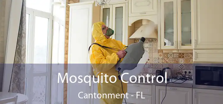 Mosquito Control Cantonment - FL