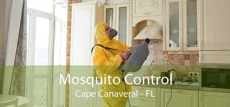 Mosquito Control Cape Canaveral - FL
