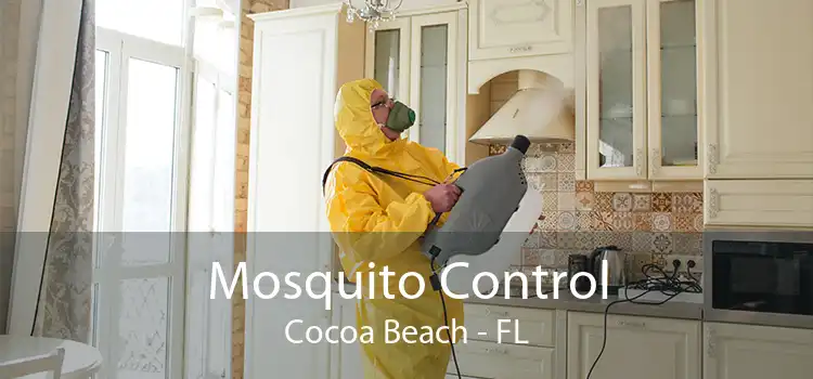 Mosquito Control Cocoa Beach - FL
