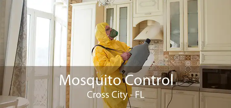Mosquito Control Cross City - FL