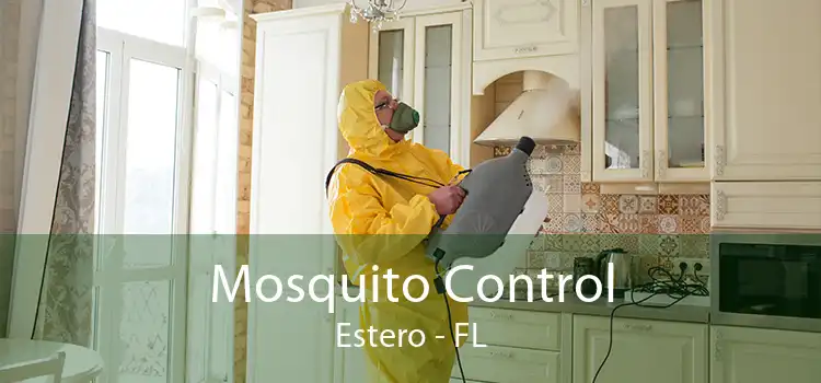 Mosquito Control Estero - FL