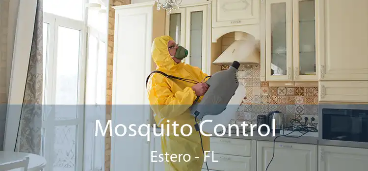 Mosquito Control Estero - FL