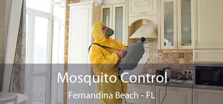 Mosquito Control Fernandina Beach - FL