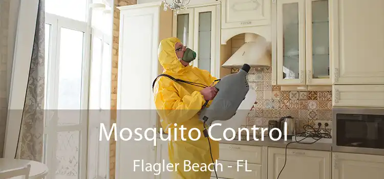 Mosquito Control Flagler Beach - FL