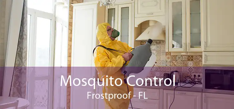Mosquito Control Frostproof - FL