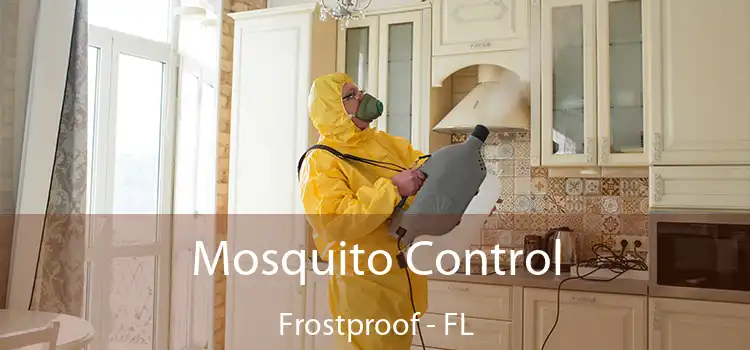 Mosquito Control Frostproof - FL