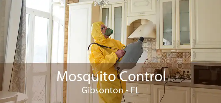 Mosquito Control Gibsonton - FL