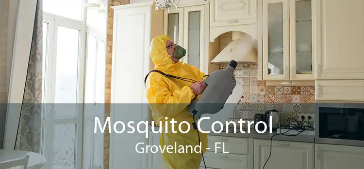 Mosquito Control Groveland - FL
