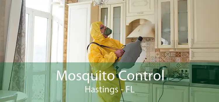 Mosquito Control Hastings - FL