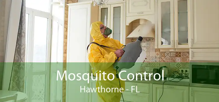 Mosquito Control Hawthorne - FL