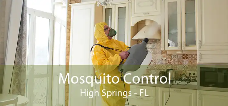 Mosquito Control High Springs - FL