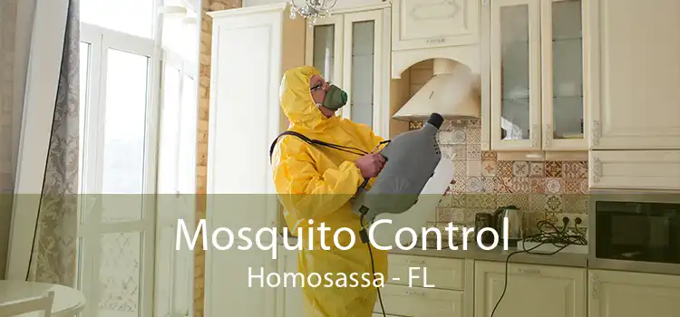Mosquito Control Homosassa - FL
