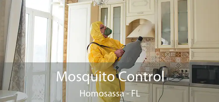 Mosquito Control Homosassa - FL