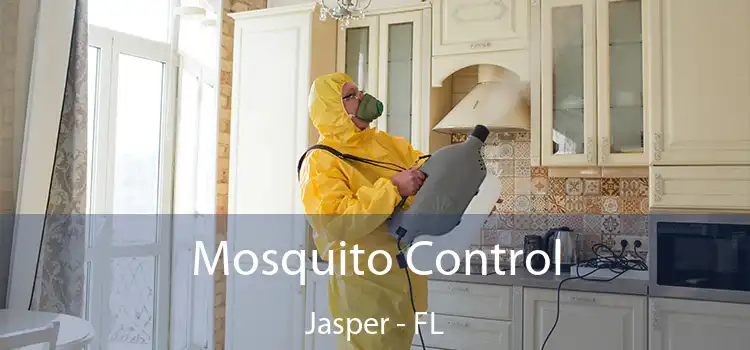 Mosquito Control Jasper - FL