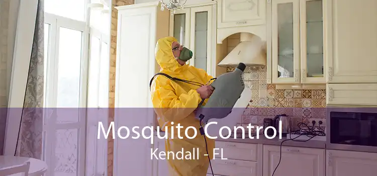Mosquito Control Kendall - FL