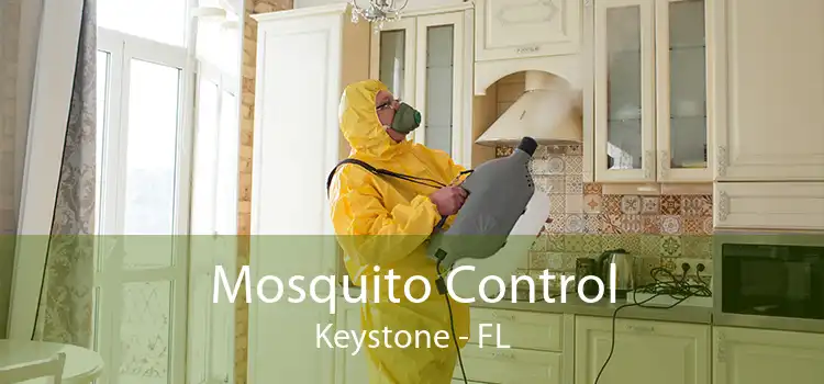 Mosquito Control Keystone - FL