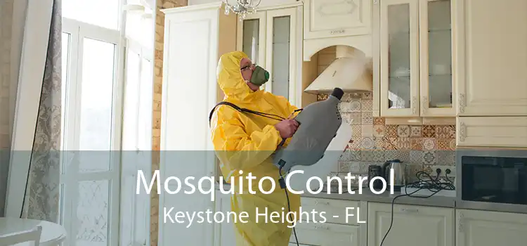 Mosquito Control Keystone Heights - FL