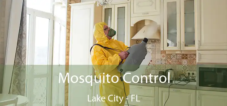 Mosquito Control Lake City - FL