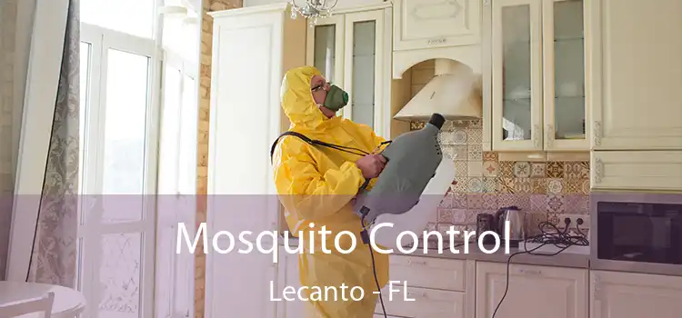 Mosquito Control Lecanto - FL