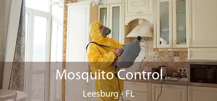 Mosquito Control Leesburg - FL