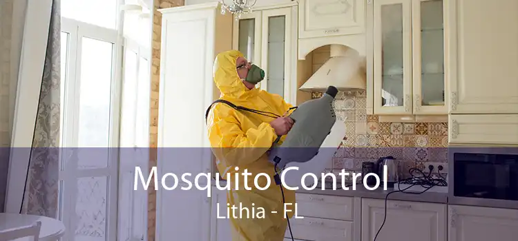Mosquito Control Lithia - FL