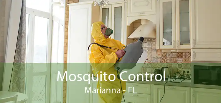Mosquito Control Marianna - FL