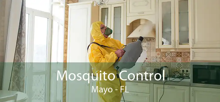 Mosquito Control Mayo - FL