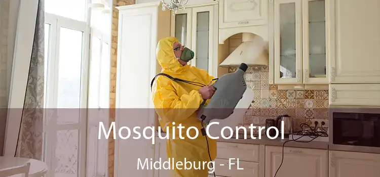 Mosquito Control Middleburg - FL