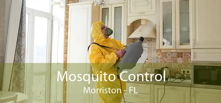 Mosquito Control Morriston - FL