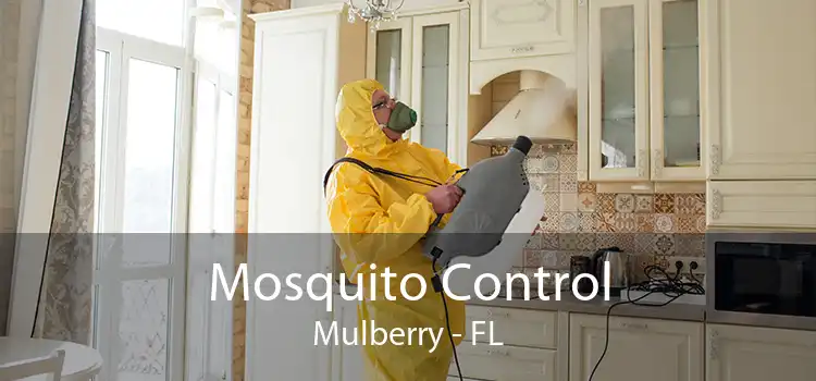 Mosquito Control Mulberry - FL