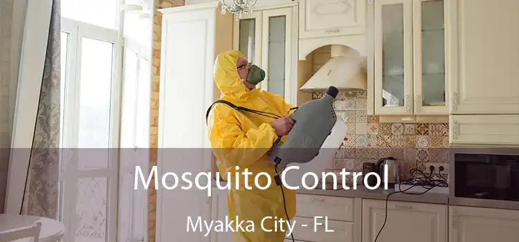 Mosquito Control Myakka City - FL