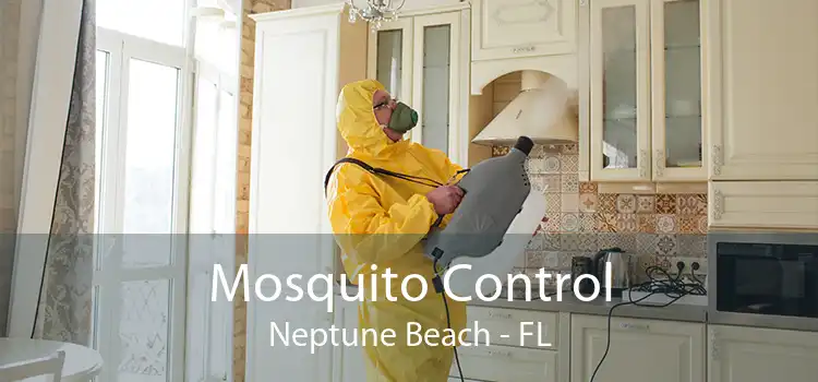 Mosquito Control Neptune Beach - FL