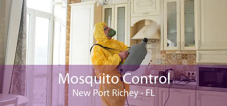 Mosquito Control New Port Richey - FL