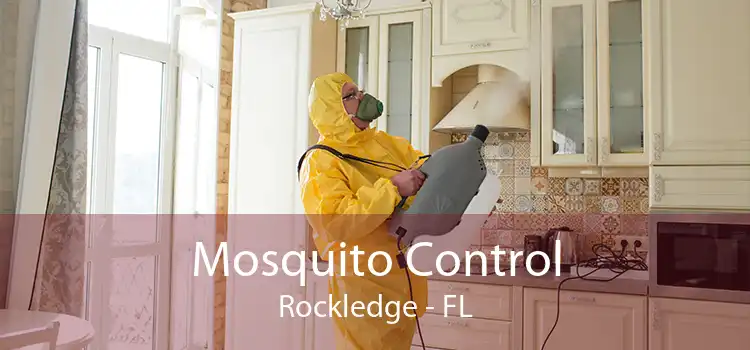 Mosquito Control Rockledge - FL