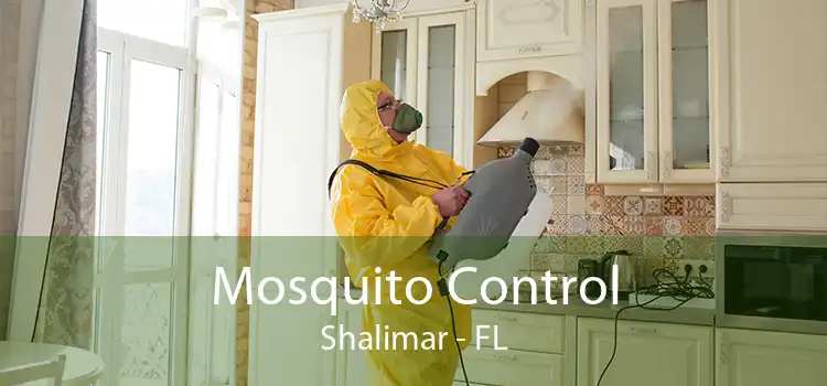 Mosquito Control Shalimar - FL