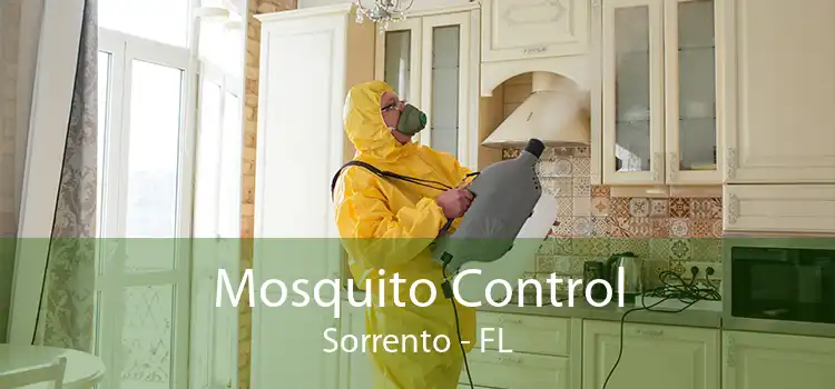 Mosquito Control Sorrento - FL