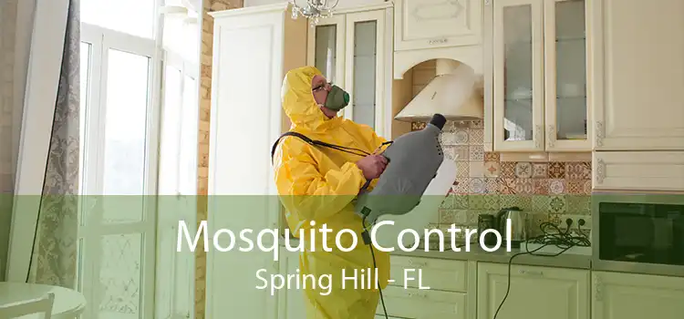 Mosquito Control Spring Hill - FL