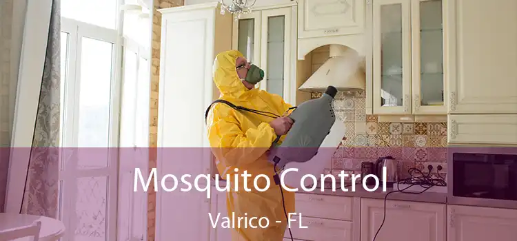 Mosquito Control Valrico - FL