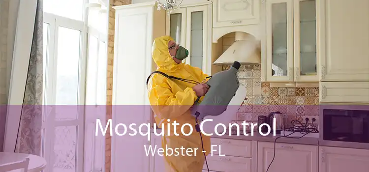 Mosquito Control Webster - FL