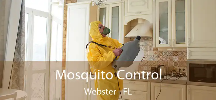  Mosquito Control Webster - FL