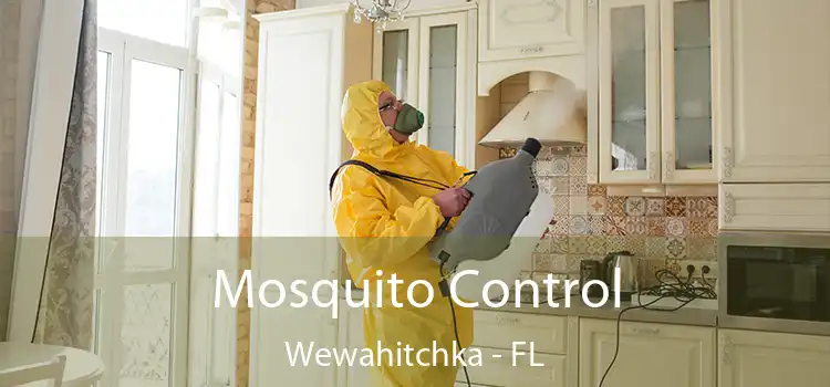 Mosquito Control Wewahitchka - FL