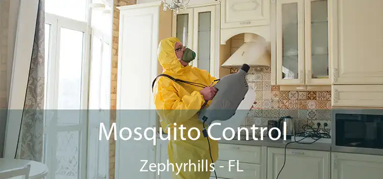 Mosquito Control Zephyrhills - FL