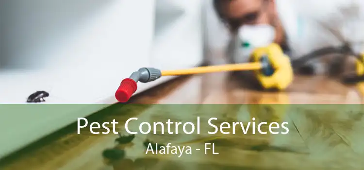 Pest Control Services Alafaya - FL