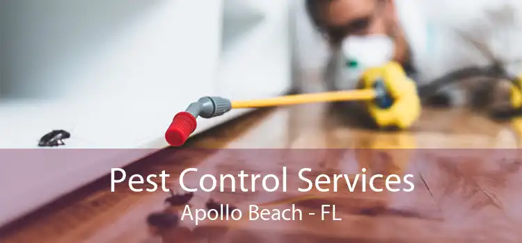 Pest Control Services Apollo Beach - FL